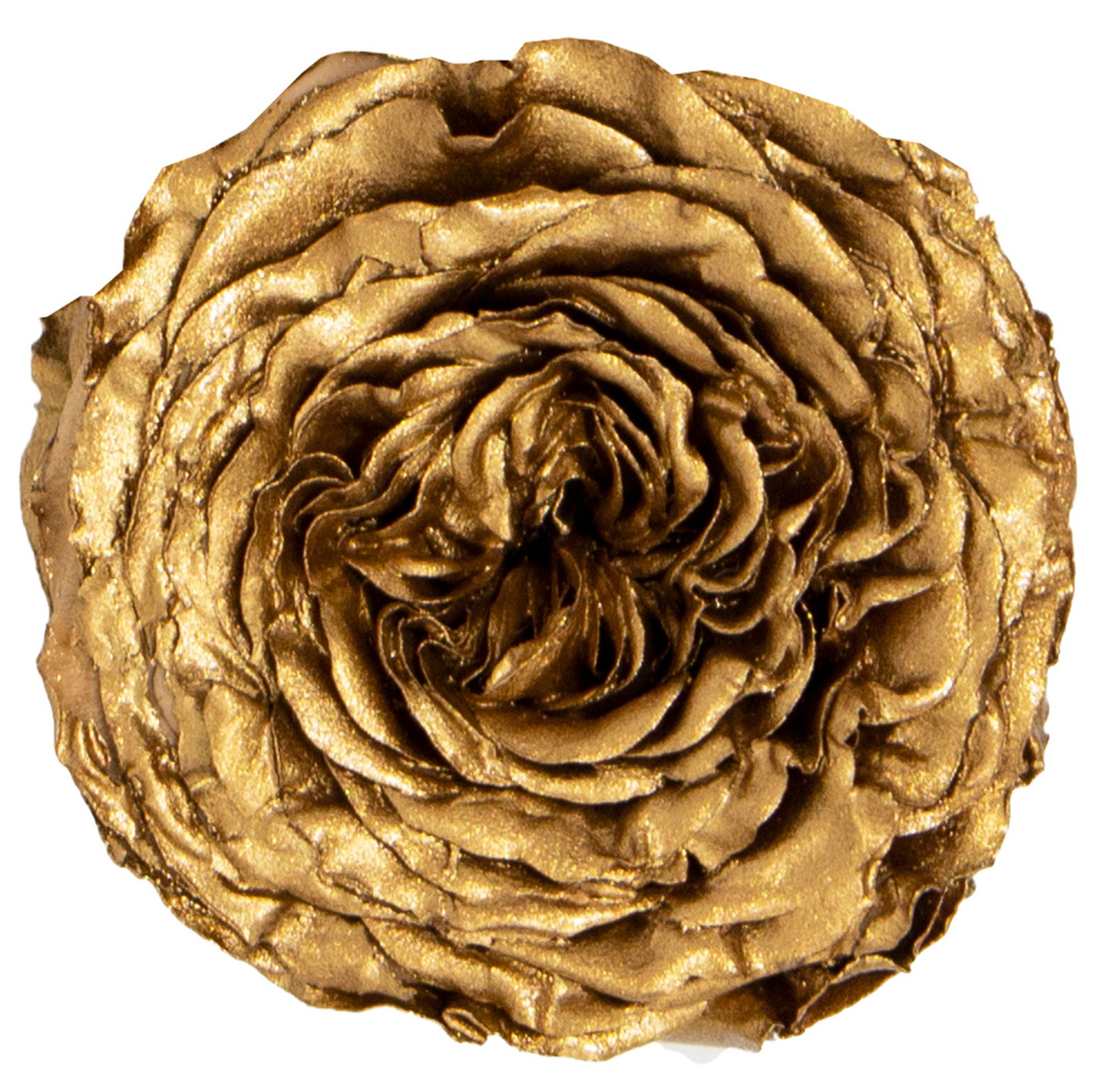 PMナナガーデンローズ ゴールド