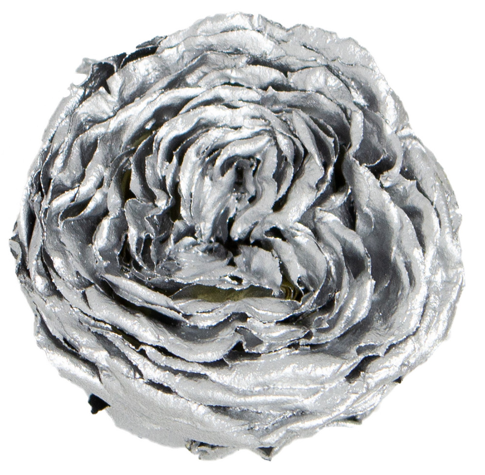 PMナナガーデンローズ シルバー