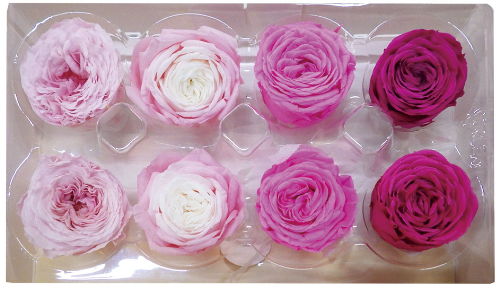 PMナナガーデンアソートピンクパレット