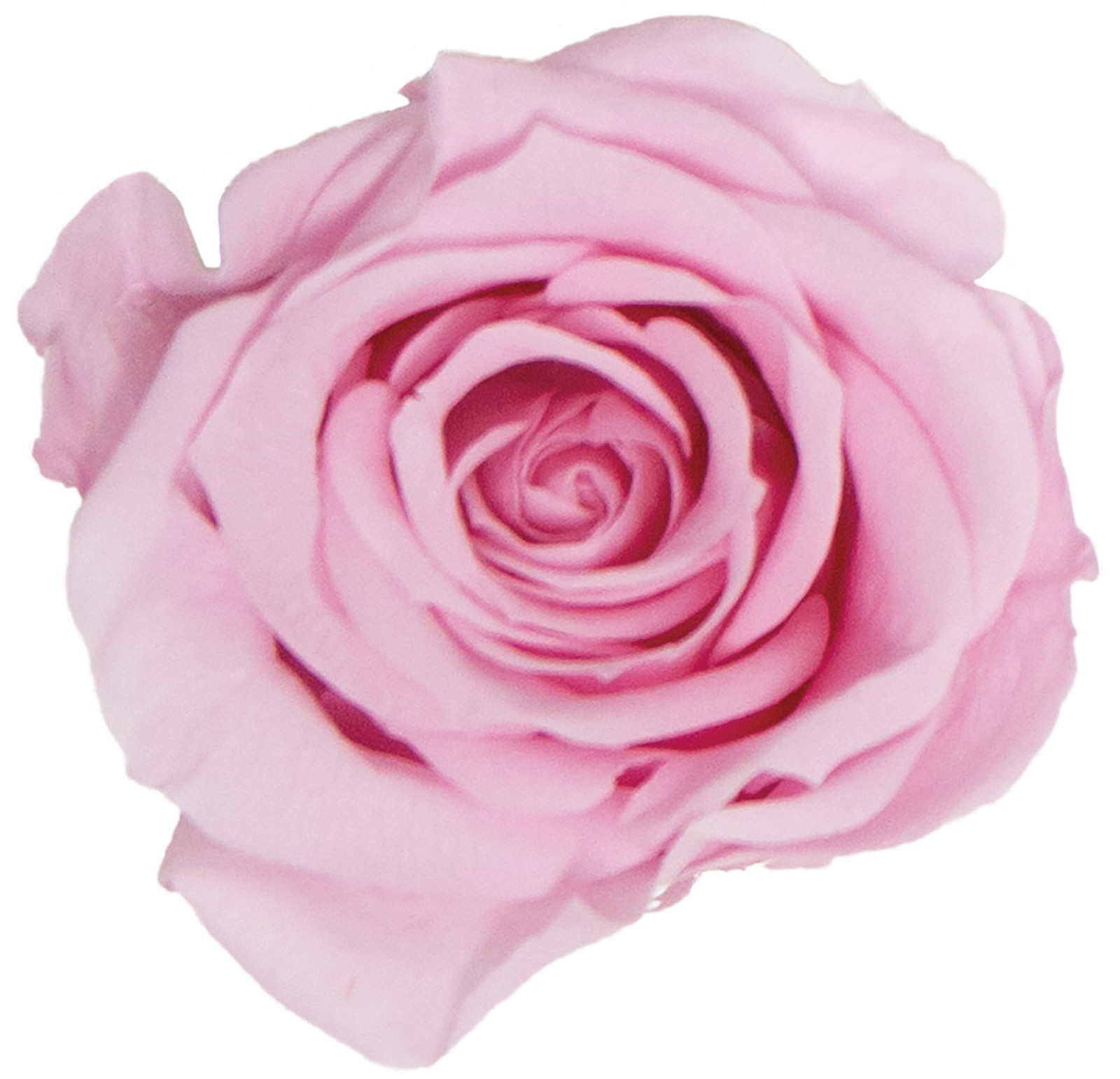 GPб۰�޽������ݸ