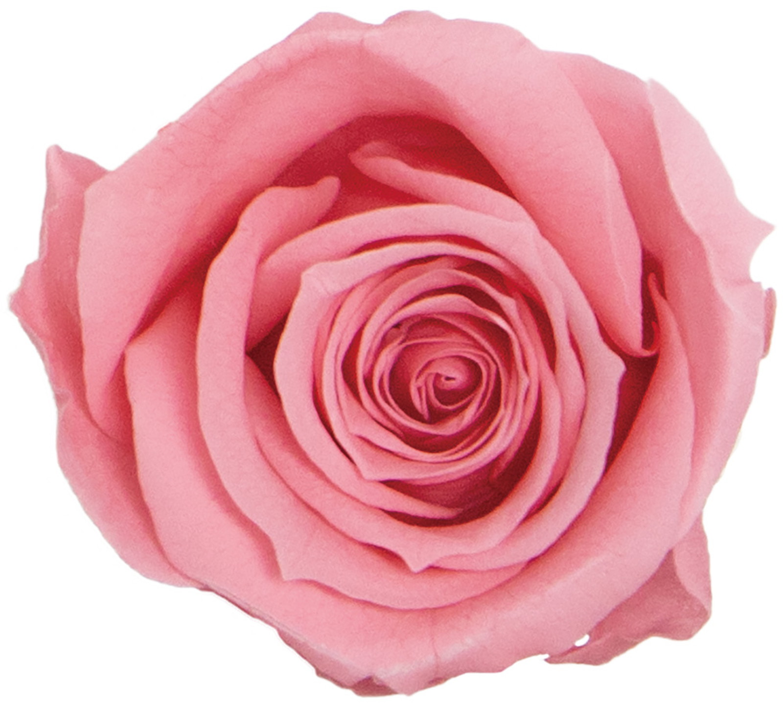 GPб۰����ٸ