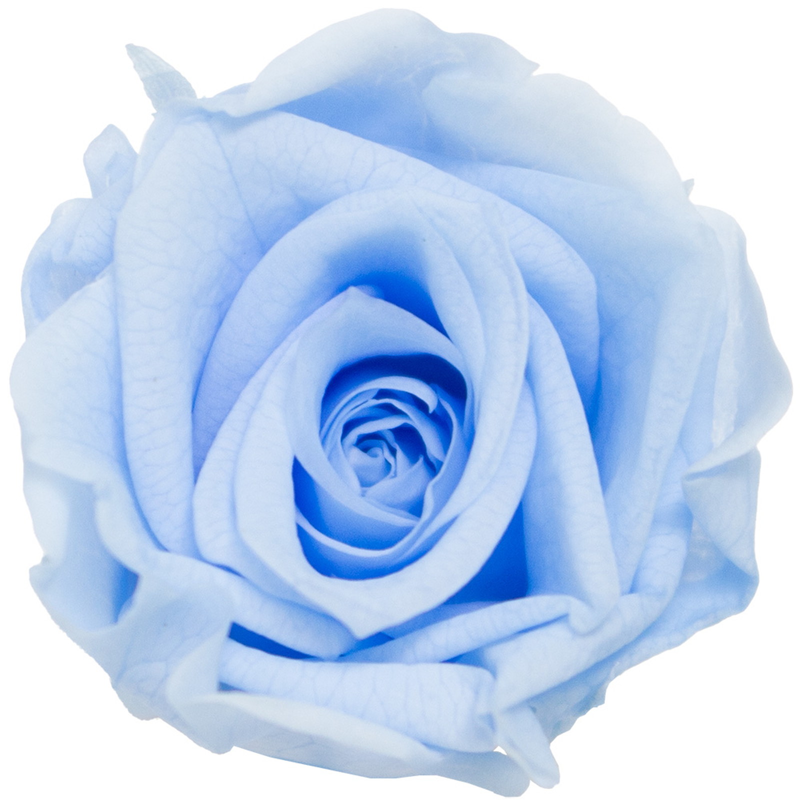 GPб���۰���ܲ����ٰ