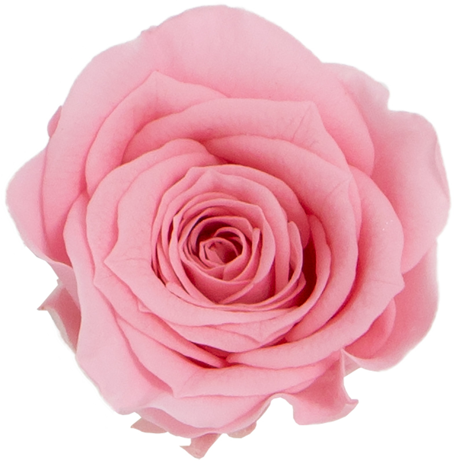 GPб���۰����ײ�����ݸ