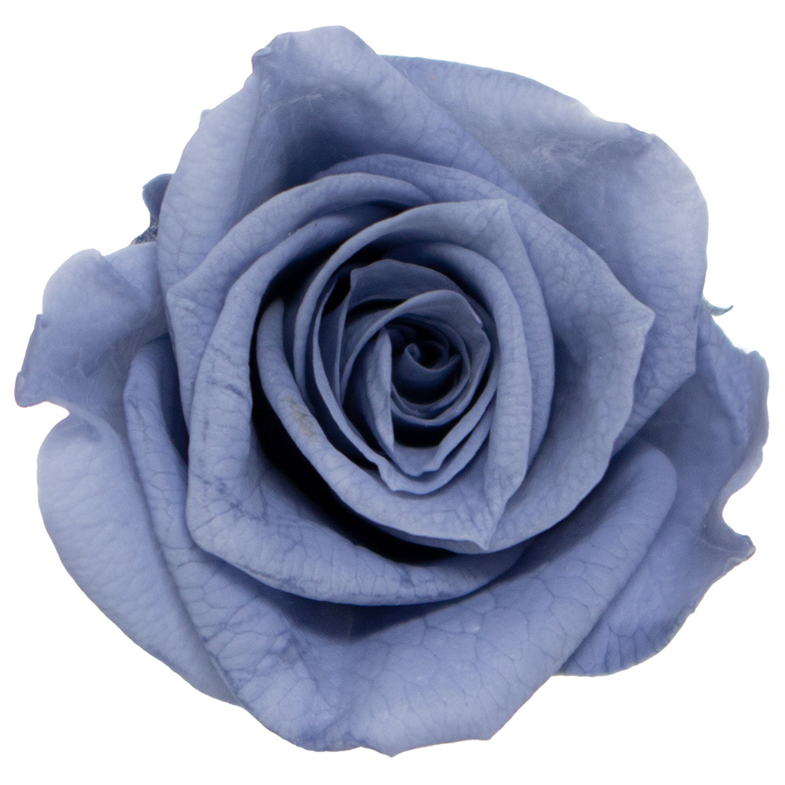 GPб���۰�ޱ��ڰ��ٰ