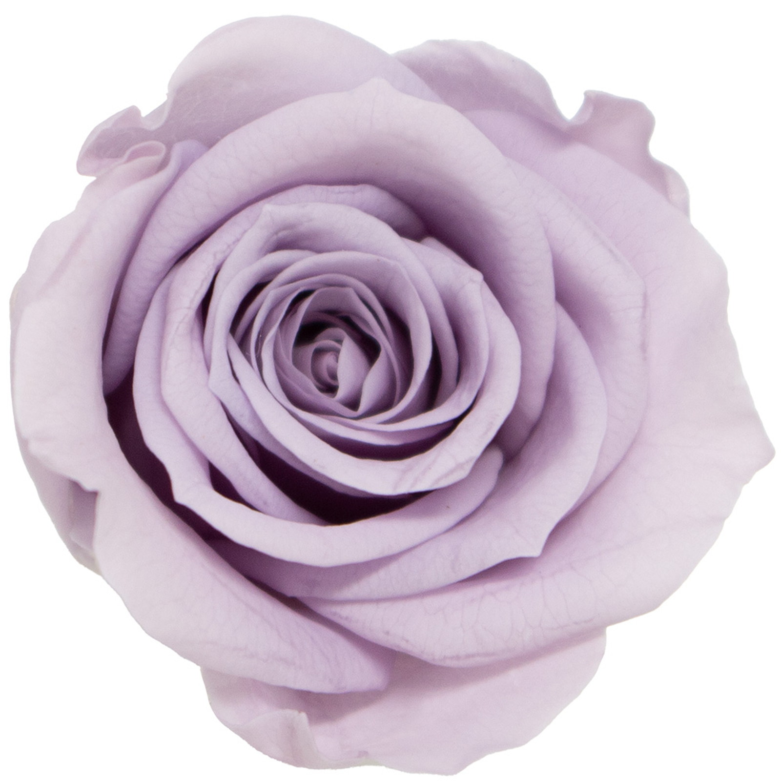 GPб���۰��нè�߰���