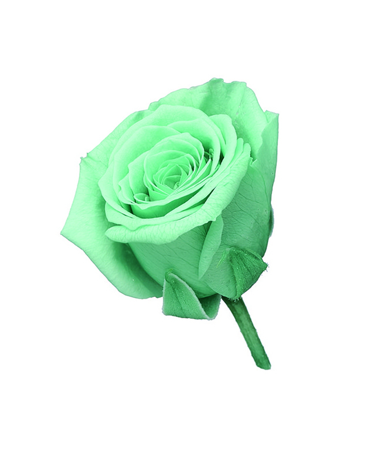 ���ޱ� �����ٰ