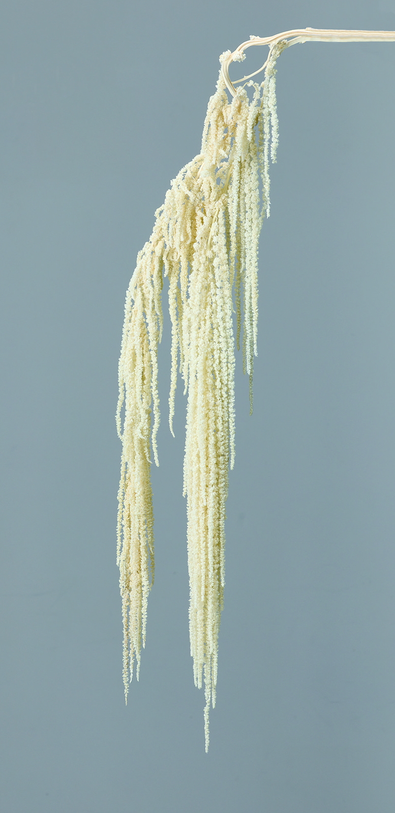 �ӹ޲ĳ ���ܲ�