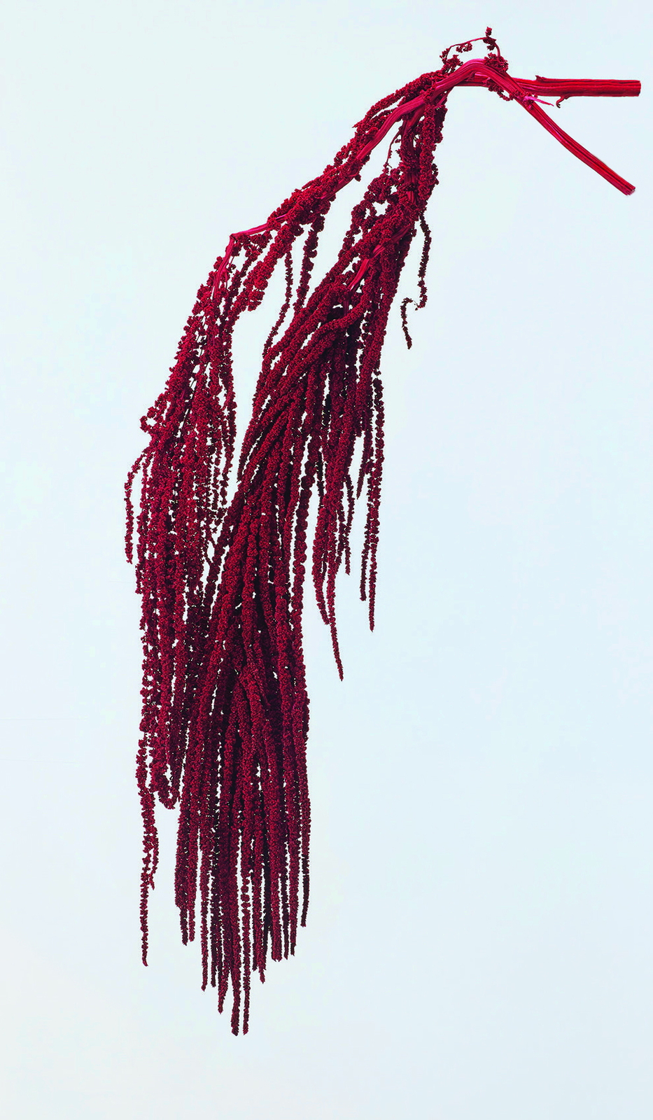 �ӹ޲ĳ ܲ�گ��