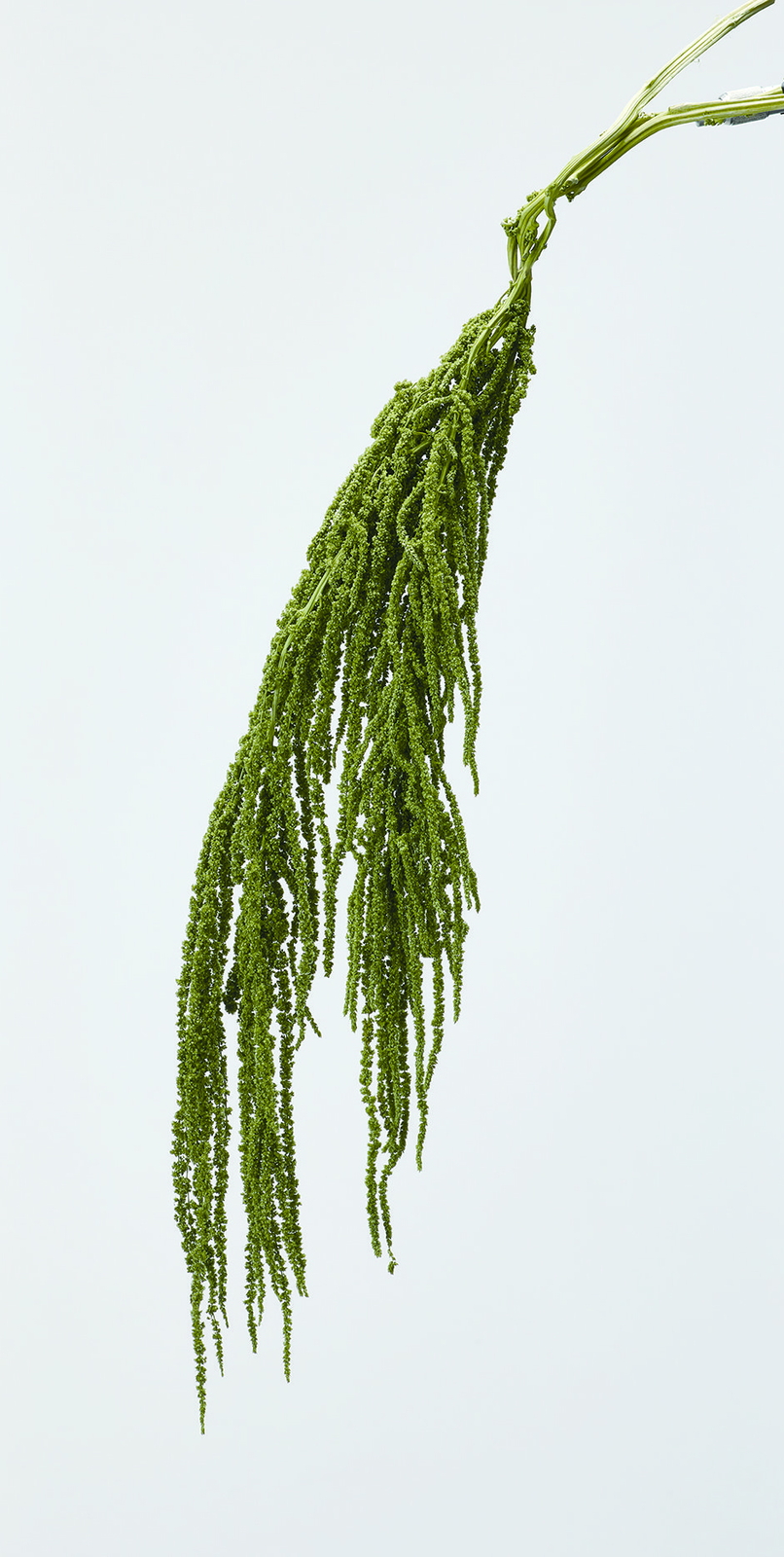 �ӹ޲ĳ ����ݸ޸�ذ�