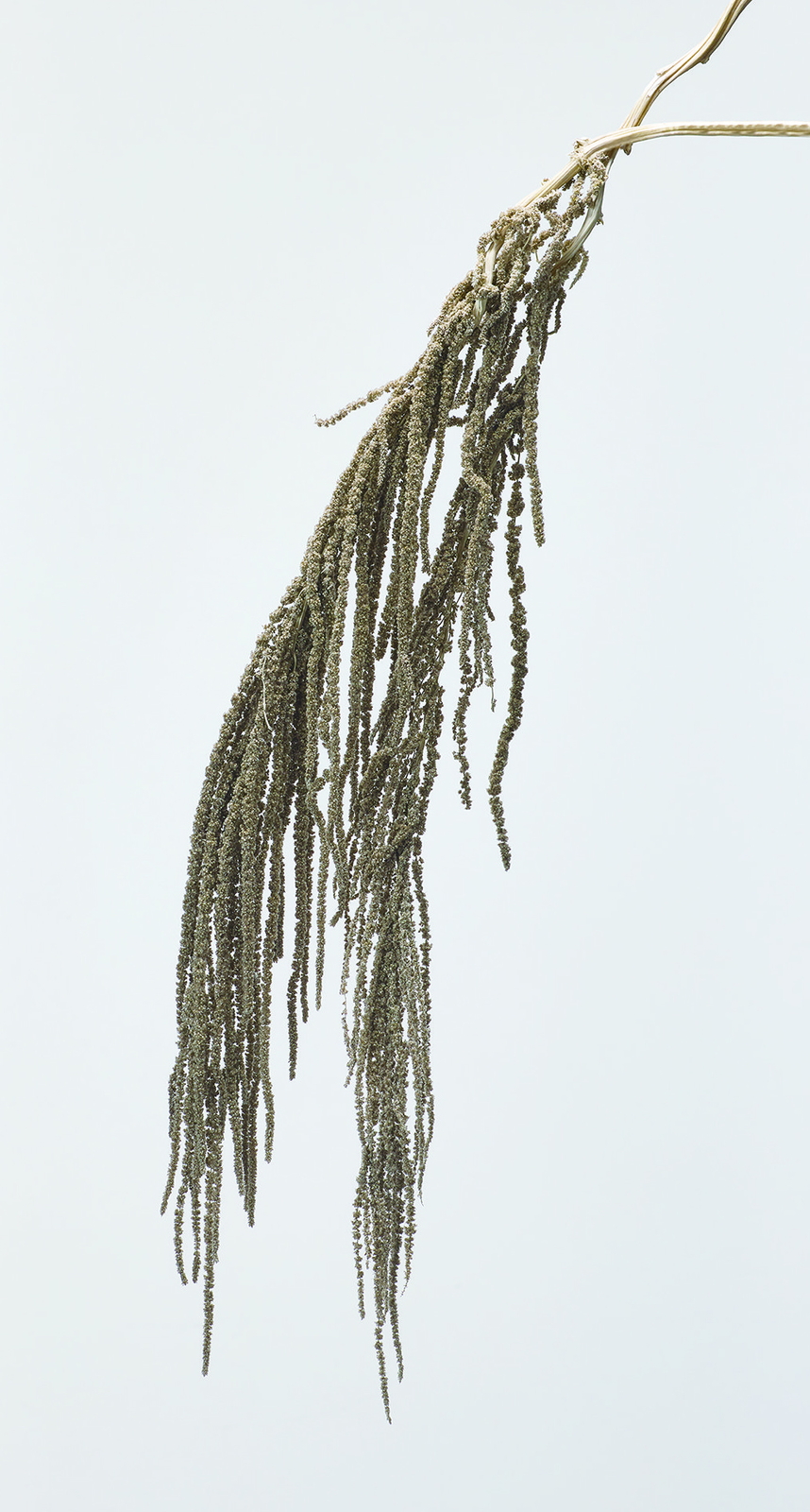 �ӹ޲ĳ �߰ٸ�ڰ