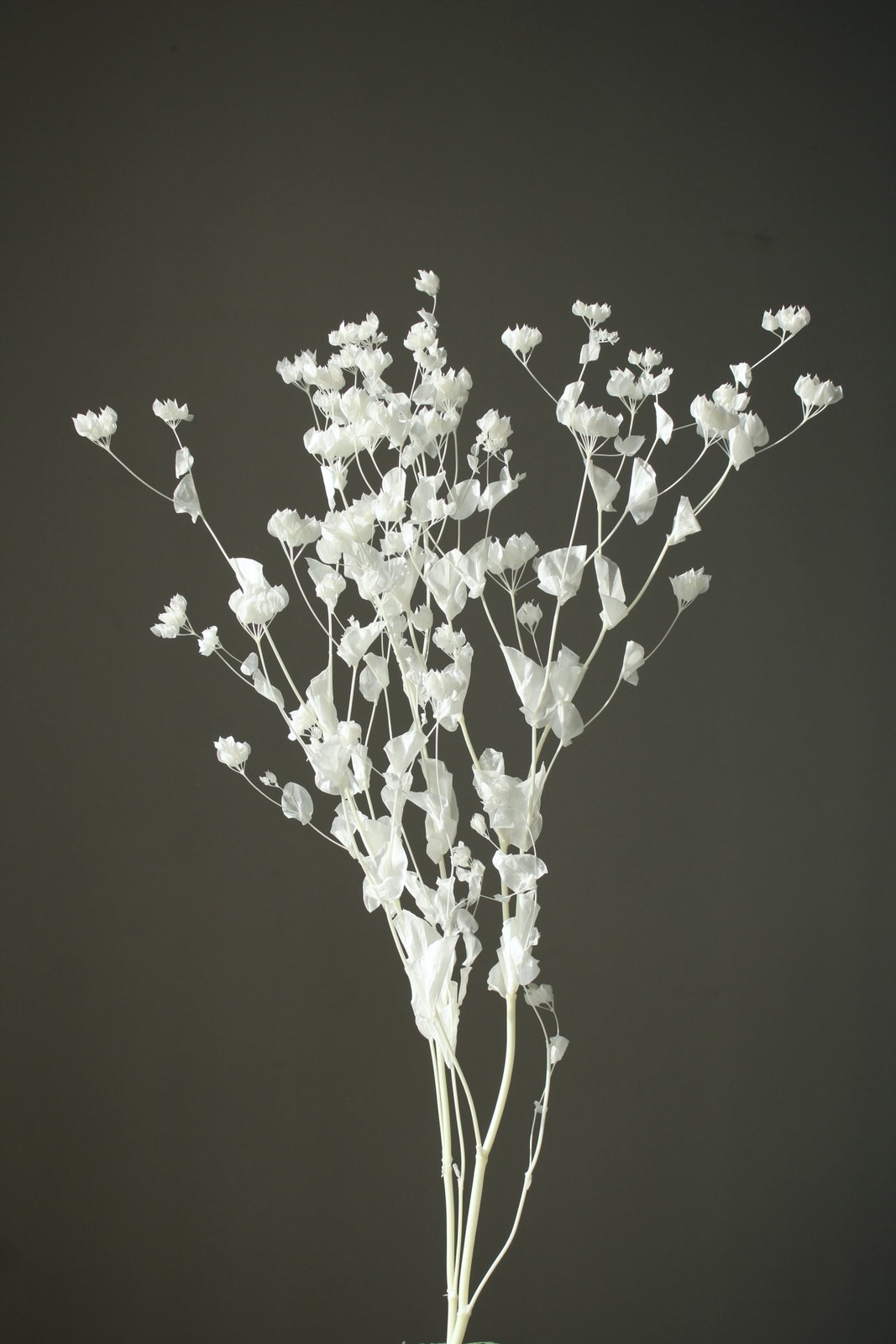 ブプレリューム・ロング オフホワイト