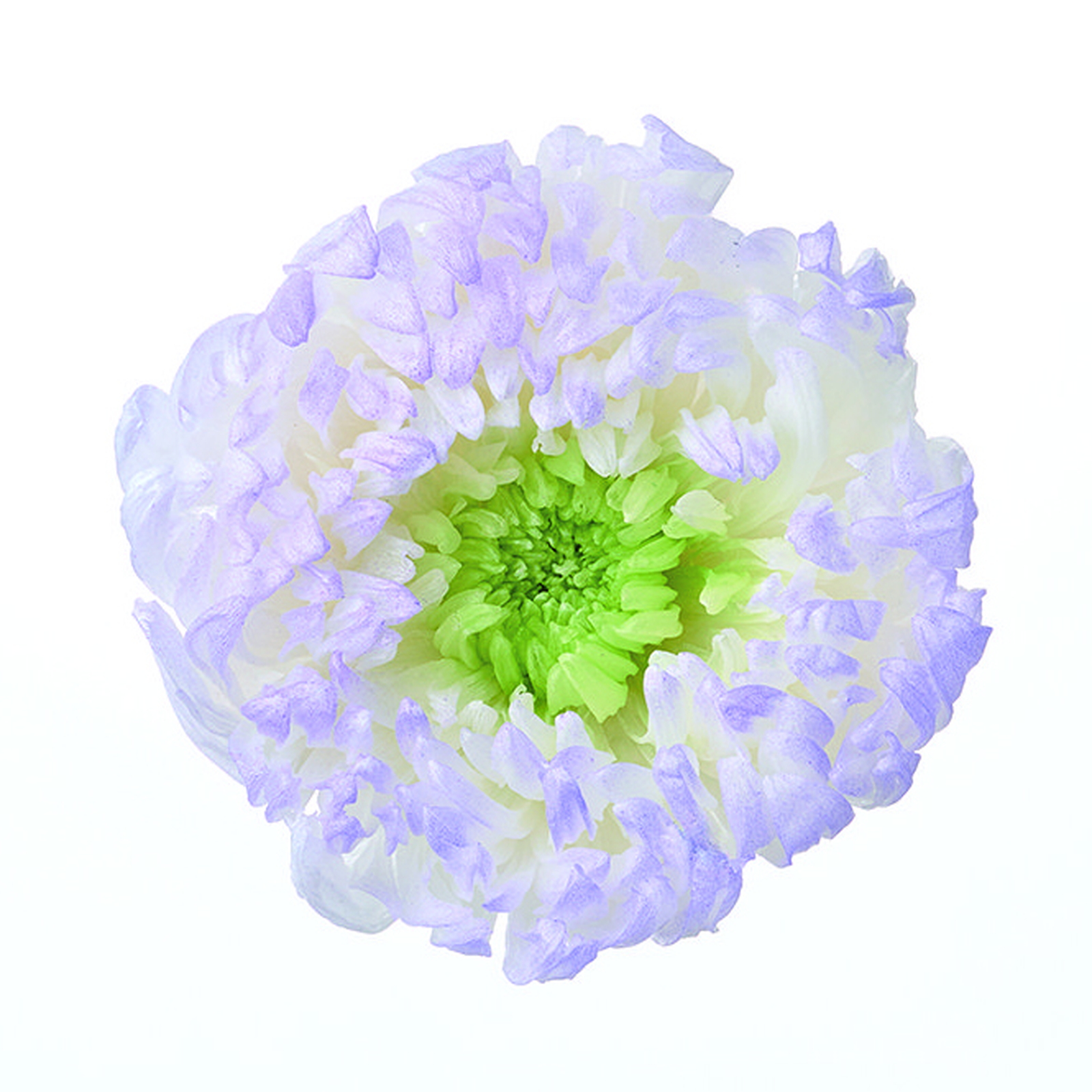 �֋e���ԥ�ق̂� �߰���