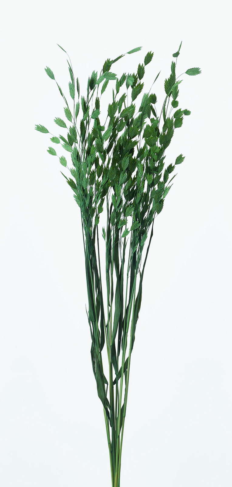 ܲ��޵�� ����ĸ�ذ�