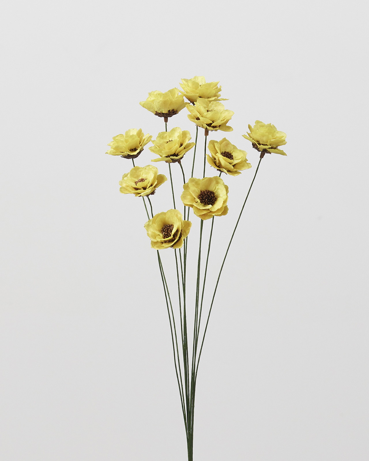 ｶﾘﾅﾌﾗﾜｰ ｲｴﾛｰ: ドライフラワー ｜ YDMオンラインストア ｜ 横浜