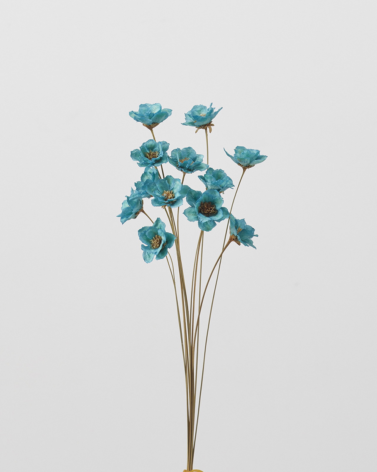 アネモネフラワー ターコイズ