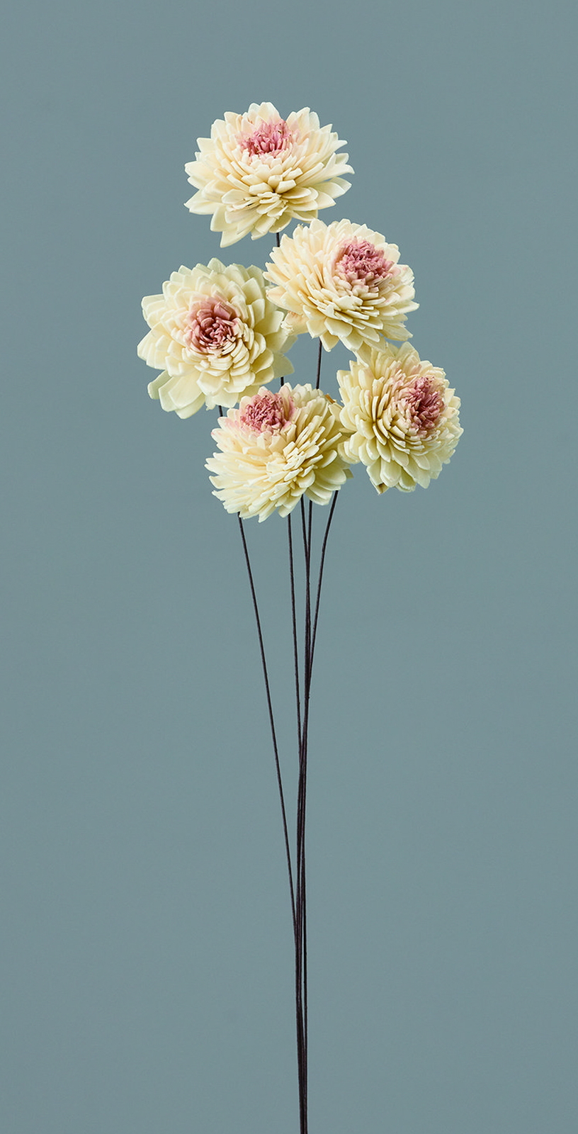 ��װ��Ʊ ��/��ݸ