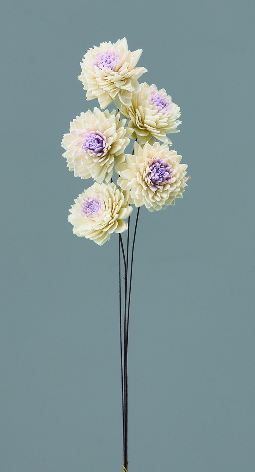 ��װ��Ʊ ��/�߰���