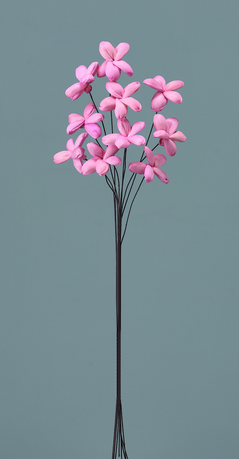 ��װ�ެ��� ��ݸ