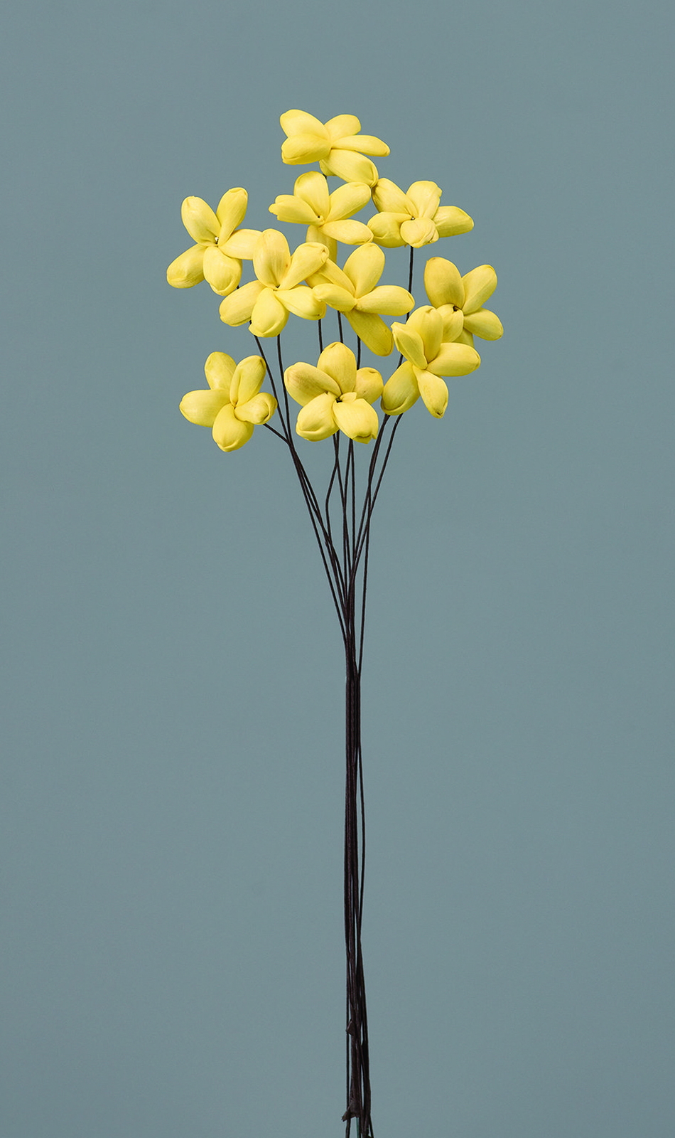 ��װ�ެ��� ��۰