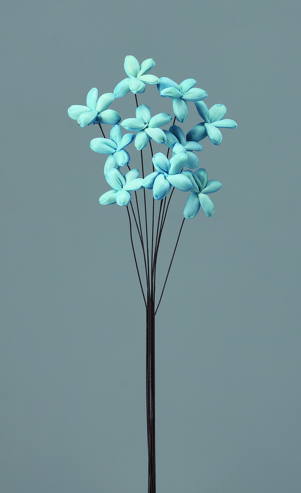 ��װ�ެ��� ��ٰ