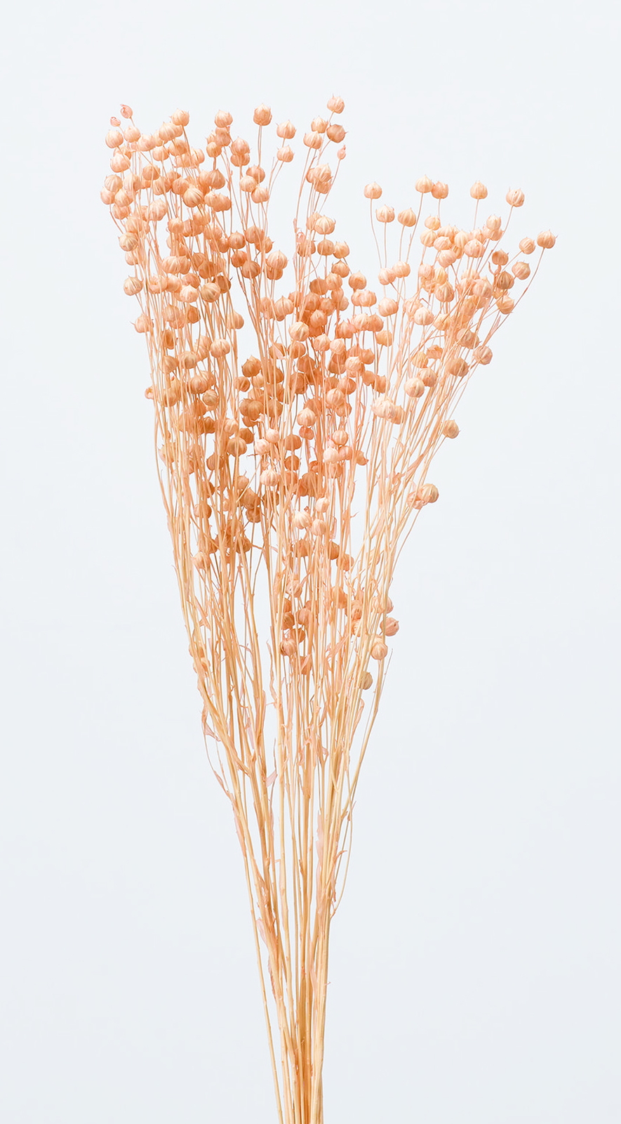 ����ܰ ����ޯ��߰�