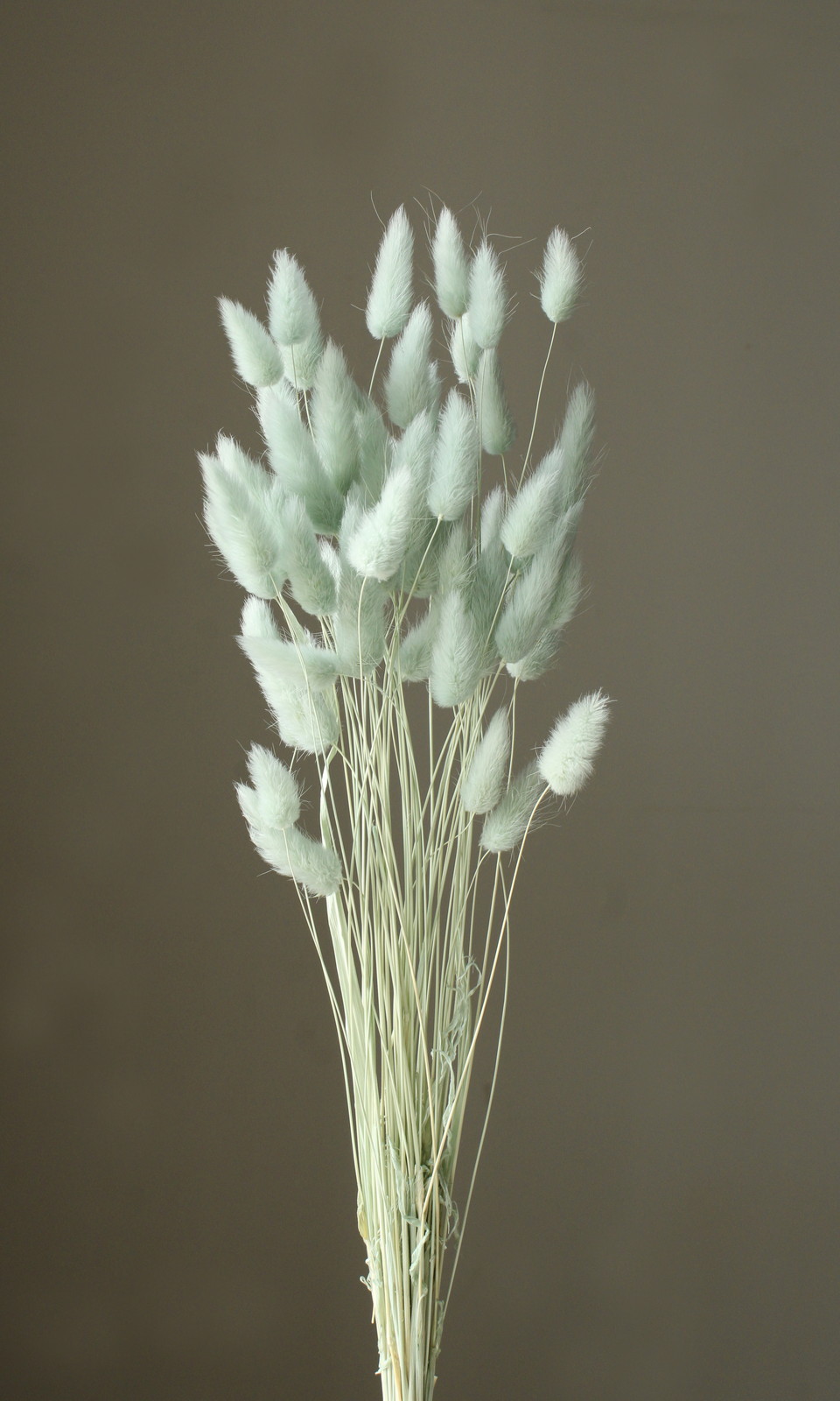 ׸�׽ ����ĸ�ذ�