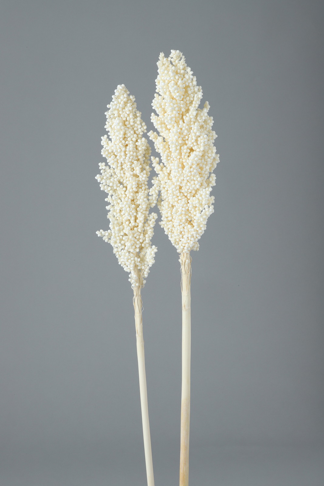 ���ި�ݺ�� �ܲ�