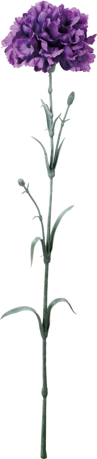 �ؽè�Ŷ�Ȱ���