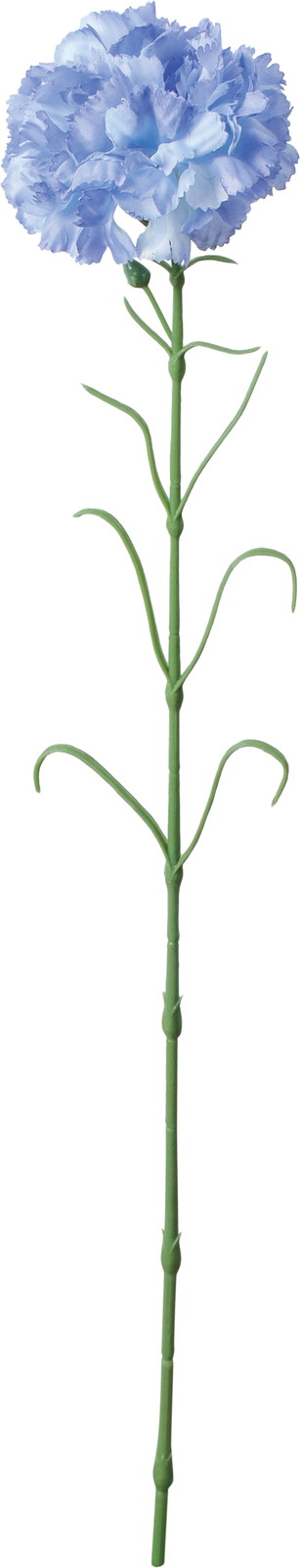 �ݸ�ٶ�Ȱ���