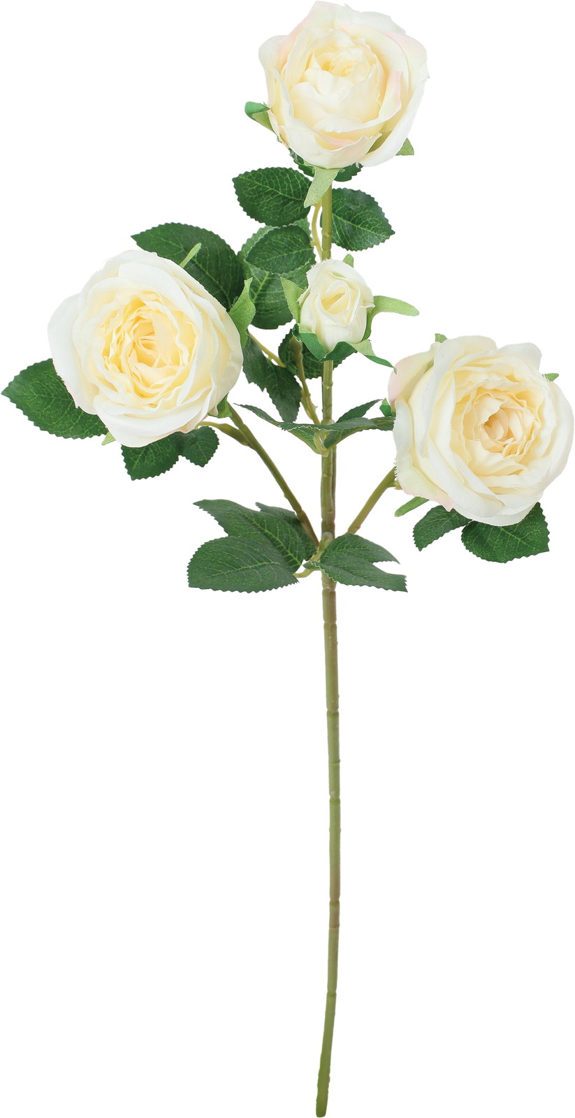 セシリアローズスプレー