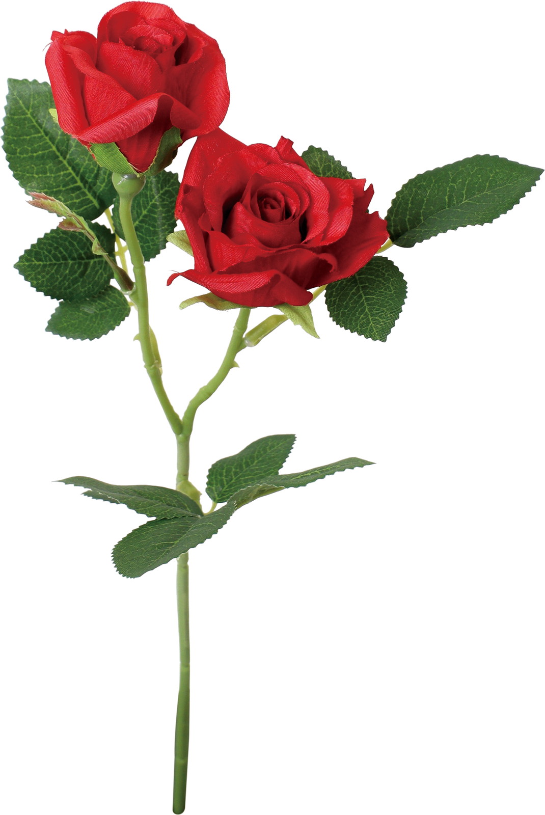 ブランシェローズスプレー