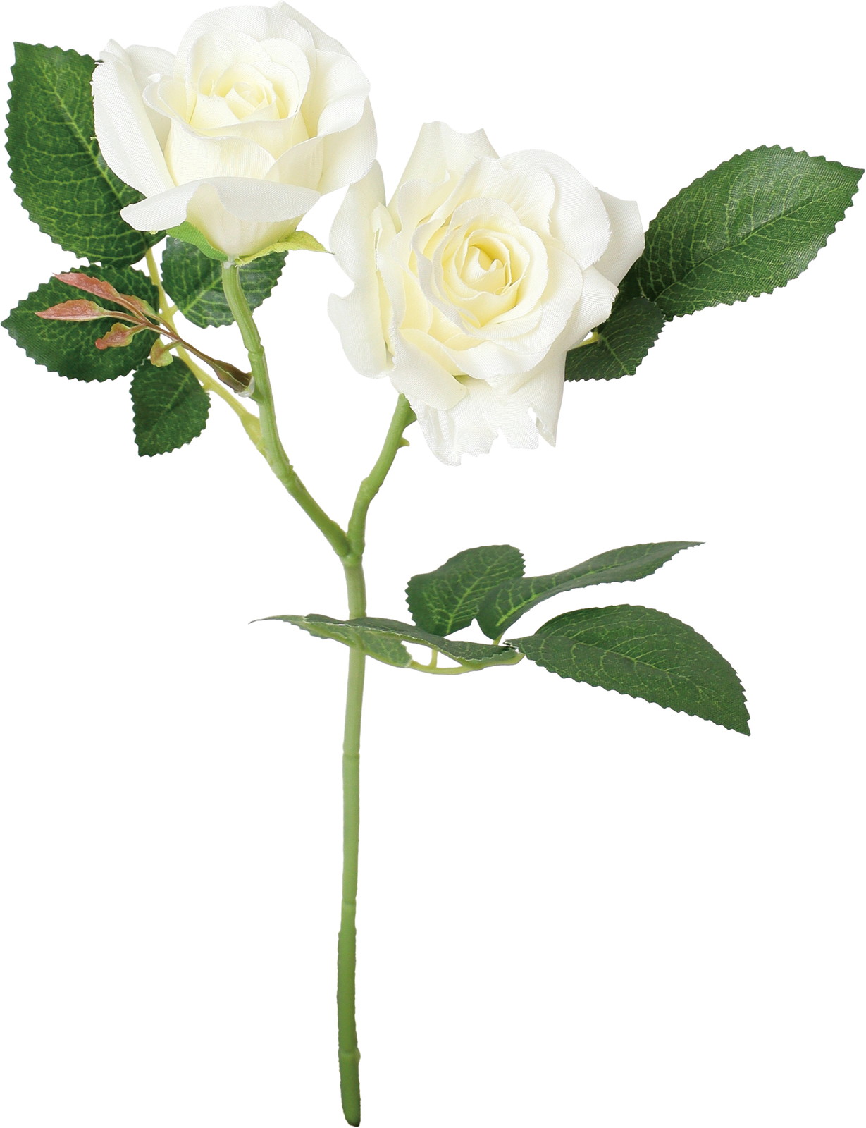 ブランシェローズスプレー