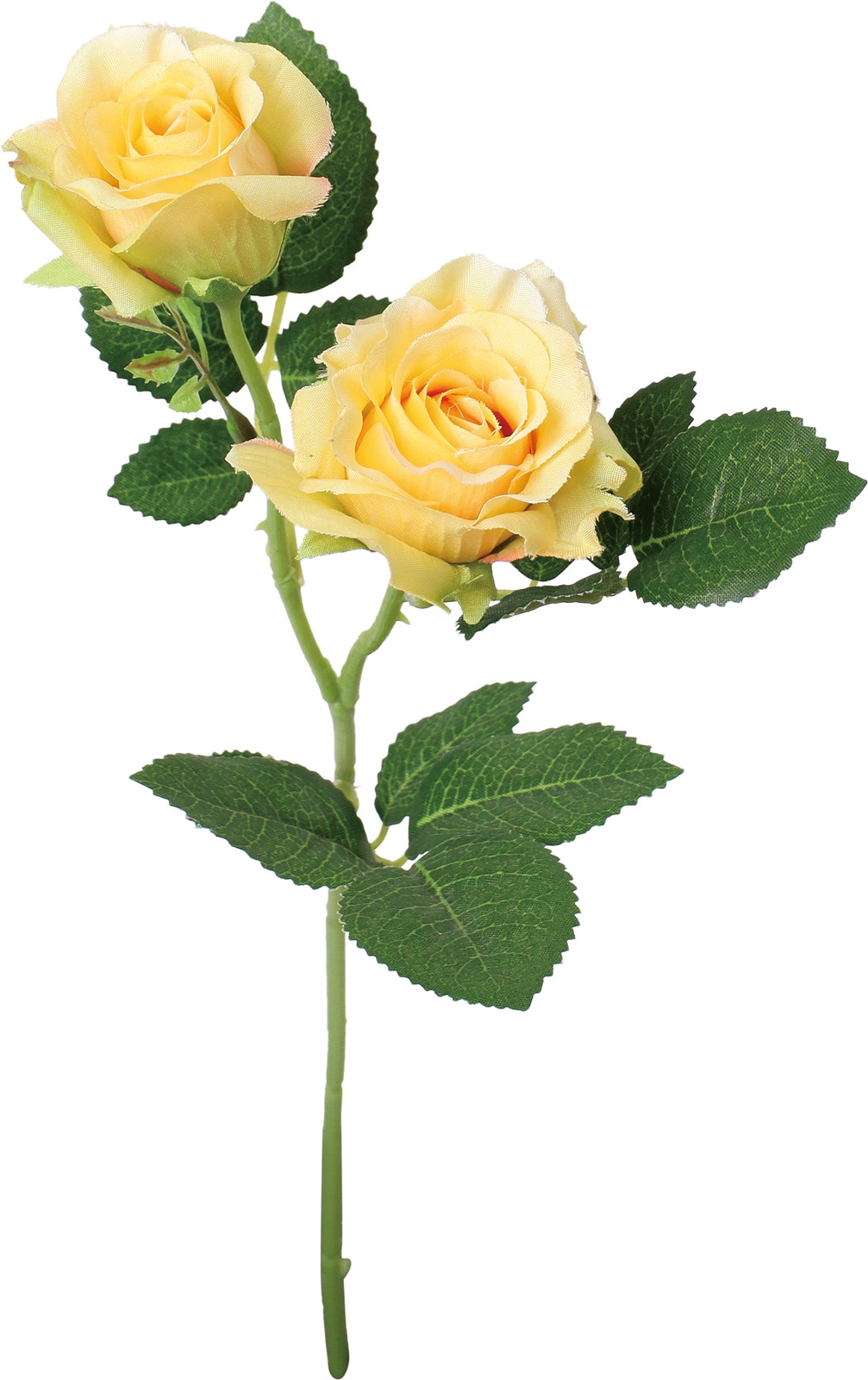 ���ݼ�۰�޽��ڰ