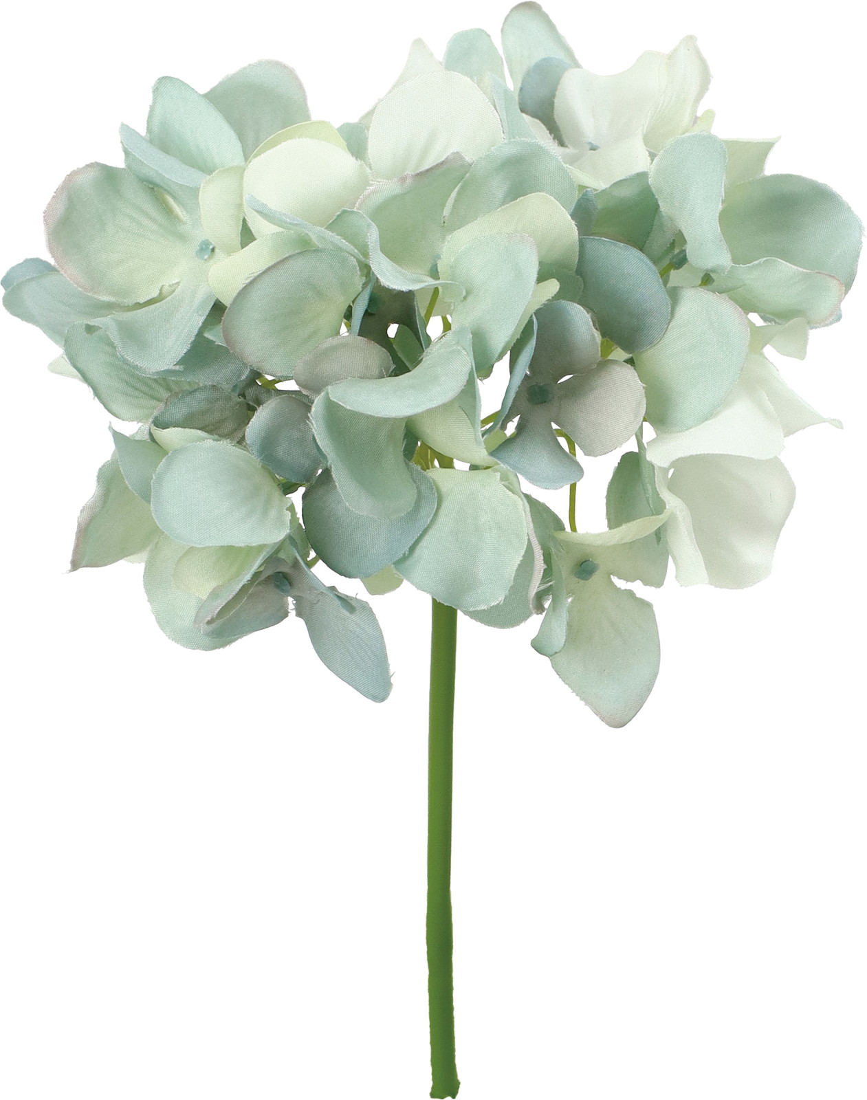 ハイドレンジアピック