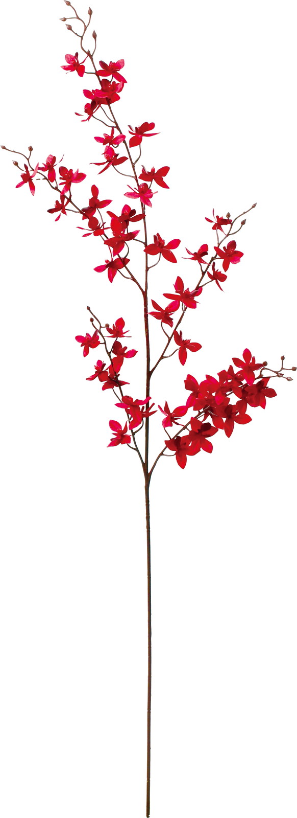 �׼�ٵݼ�ޭ��