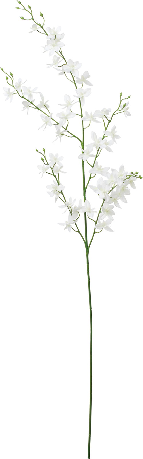 �׼�ٵݼ�ޭ��