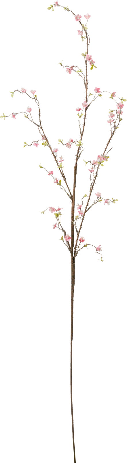 ��ɱ�����