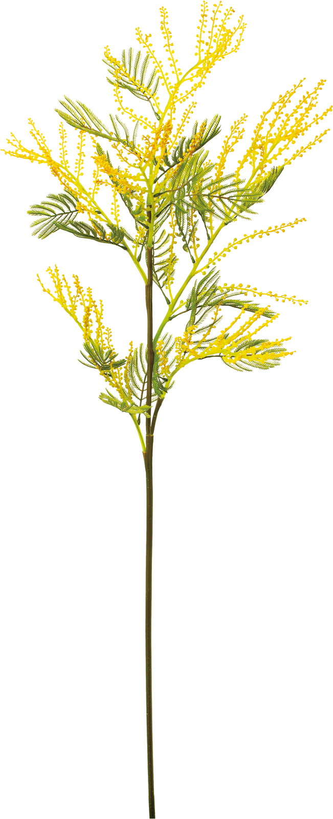 �ӻ������