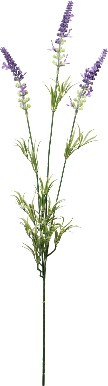 �����ް���ڰ