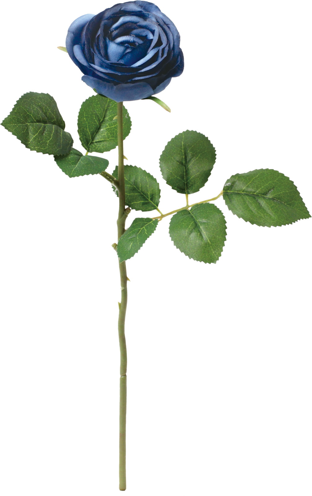 �ݸ�ٶް���۰��