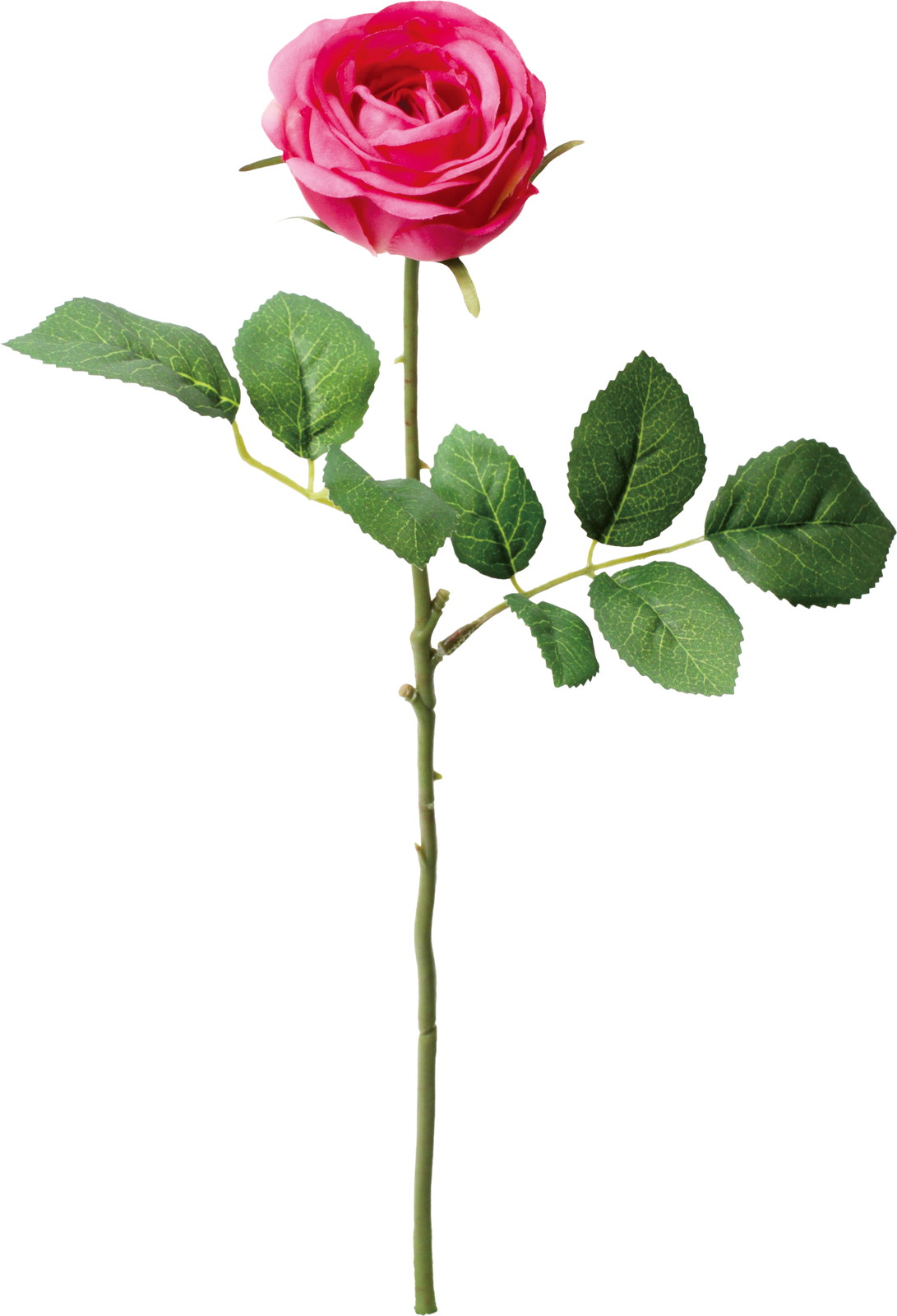 �ݸ�ٶް���۰��