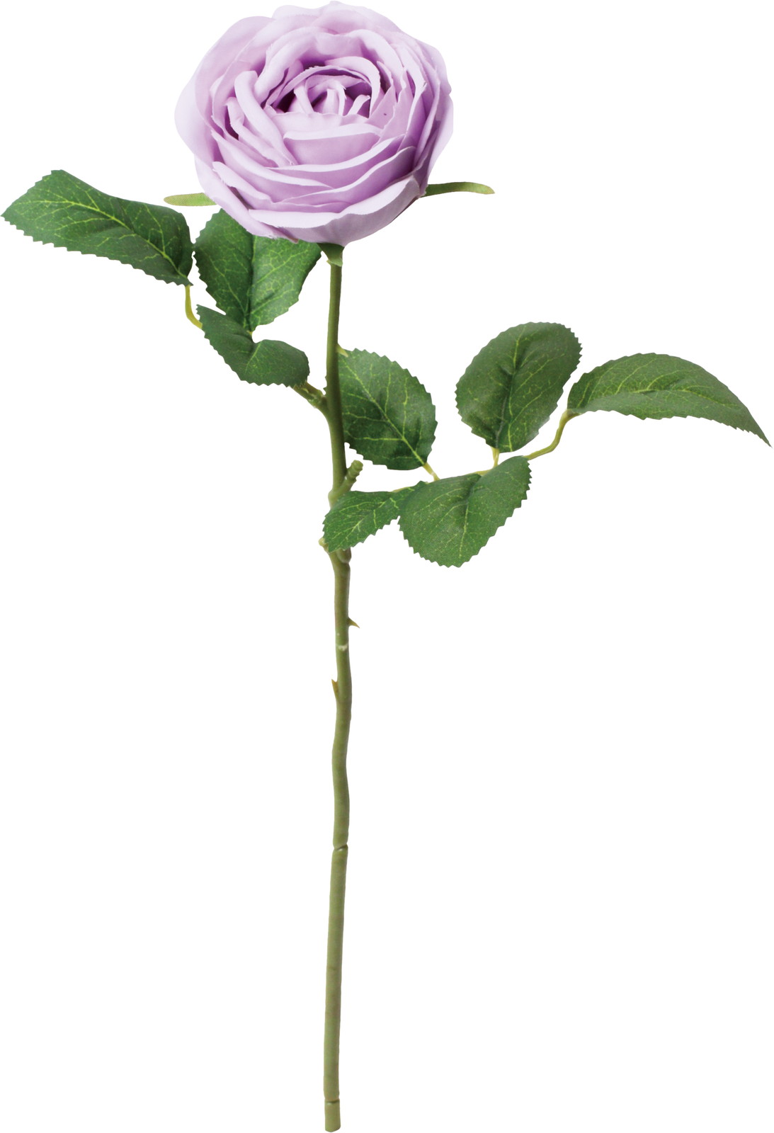 �ݸ�ٶް���۰��