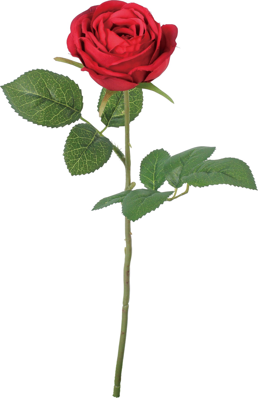 �ݸ�ٶް���۰��