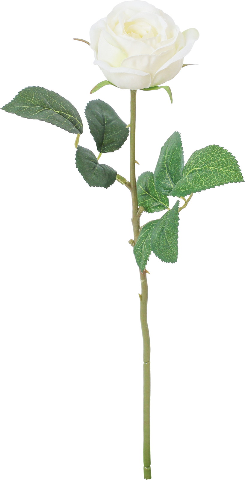 �ݸ�ٶް���۰��