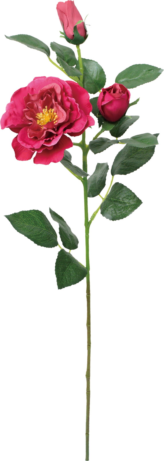 フリルガーデンローズスプレー