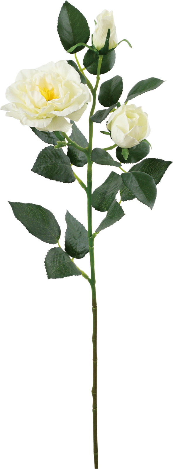 ��ٶް���۰�޽��ڰ