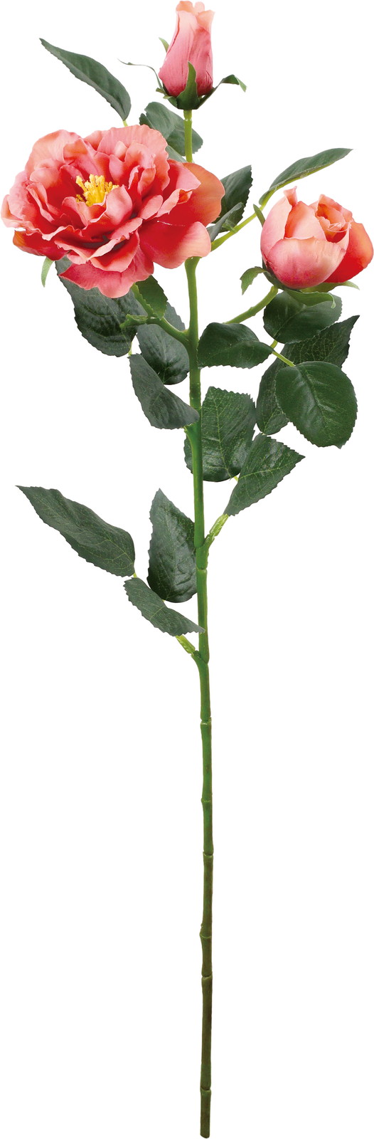 ��ٶް���۰�޽��ڰ