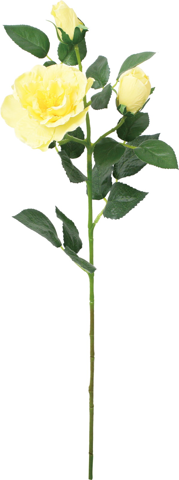 ��ٶް���۰�޽��ڰ