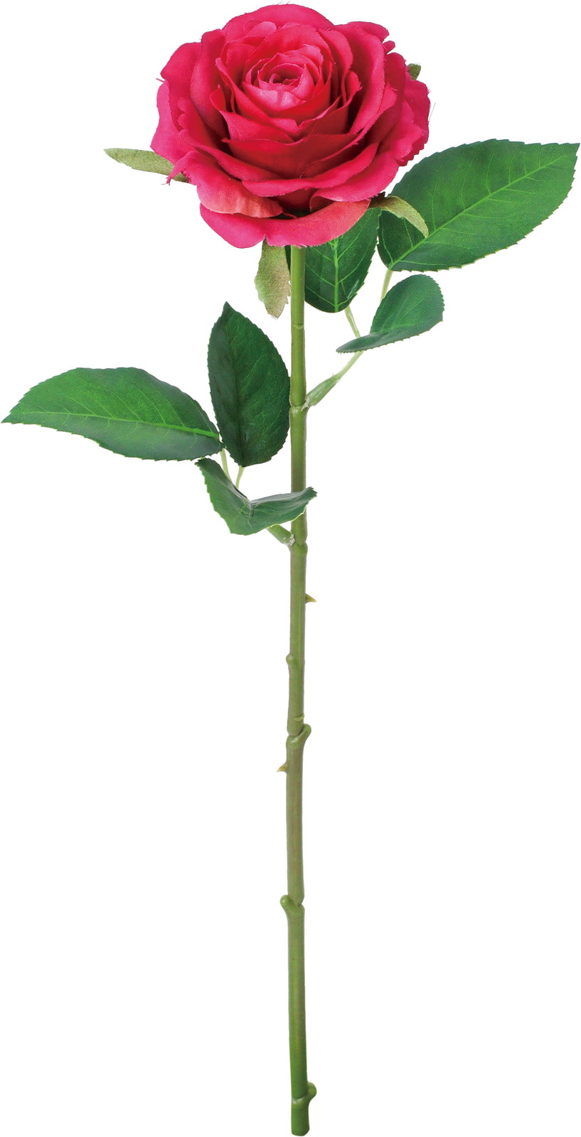 ���ި�۰��