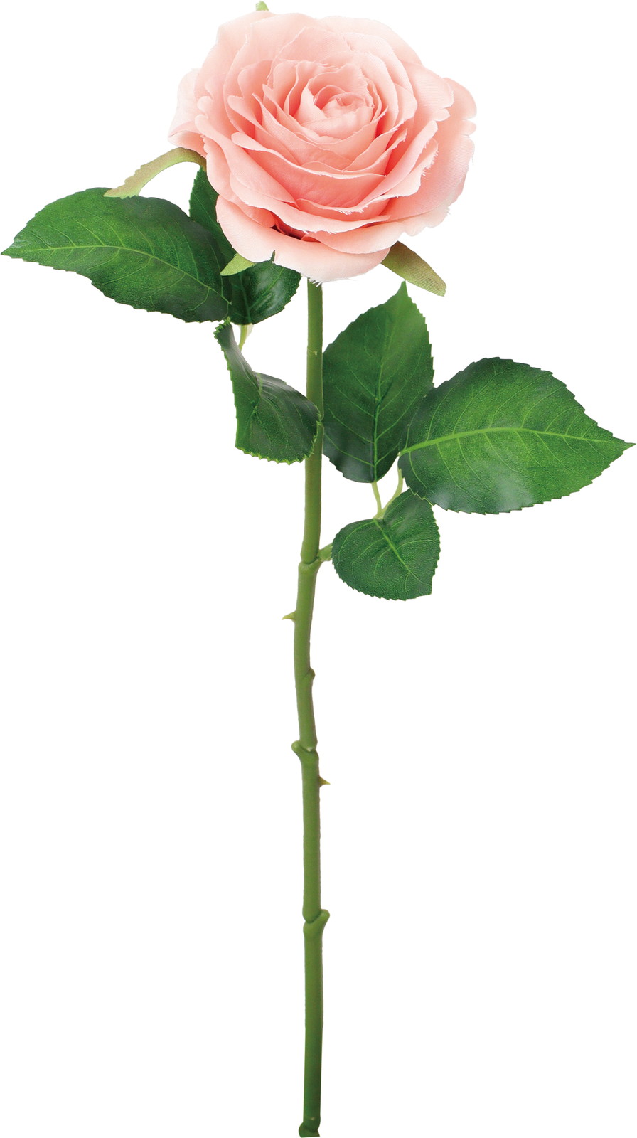 ���ި�۰��